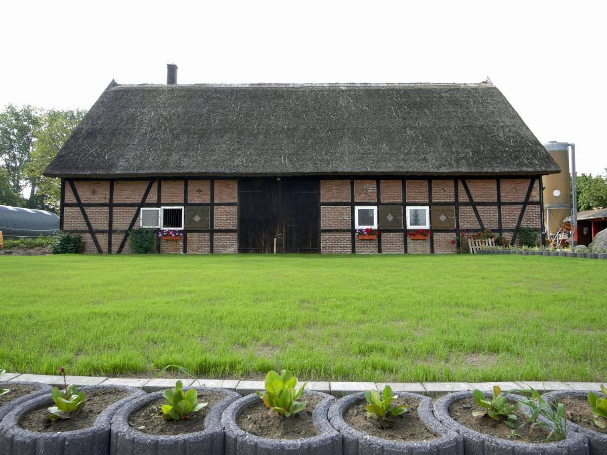 Ferienwohnungen Am Reiterhof Sallenthin Neu Sallenthin ภายนอก รูปภาพ